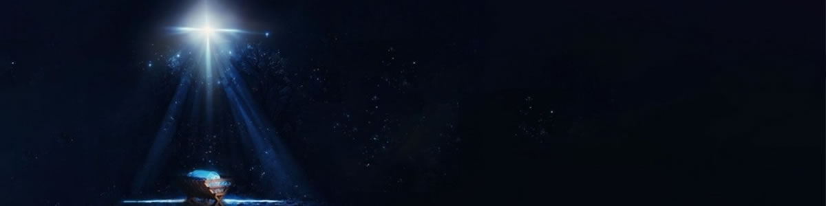 Banner 1